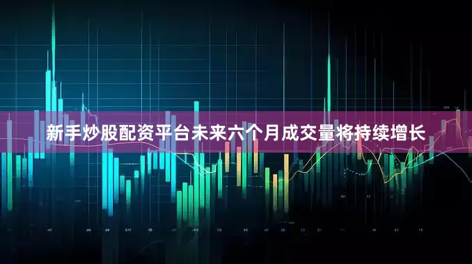 新手炒股配资平台未来六个月成交量将持续增长